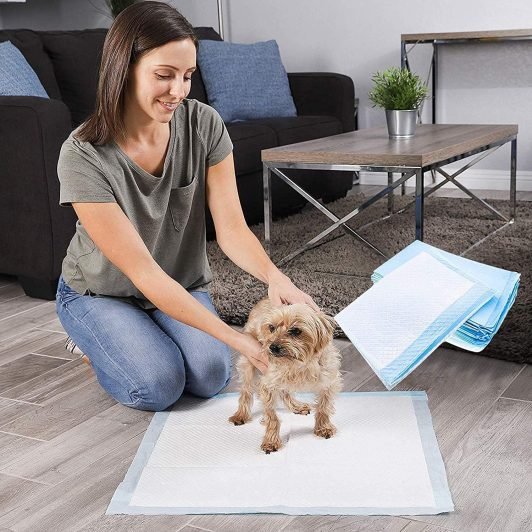 Pad Training for Dogs