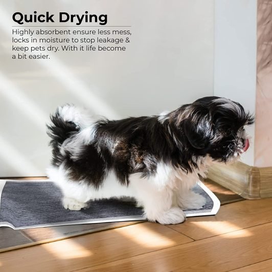 100-Pack Dog Pee Pads - Super Absorbent Training Pads With Odor Control